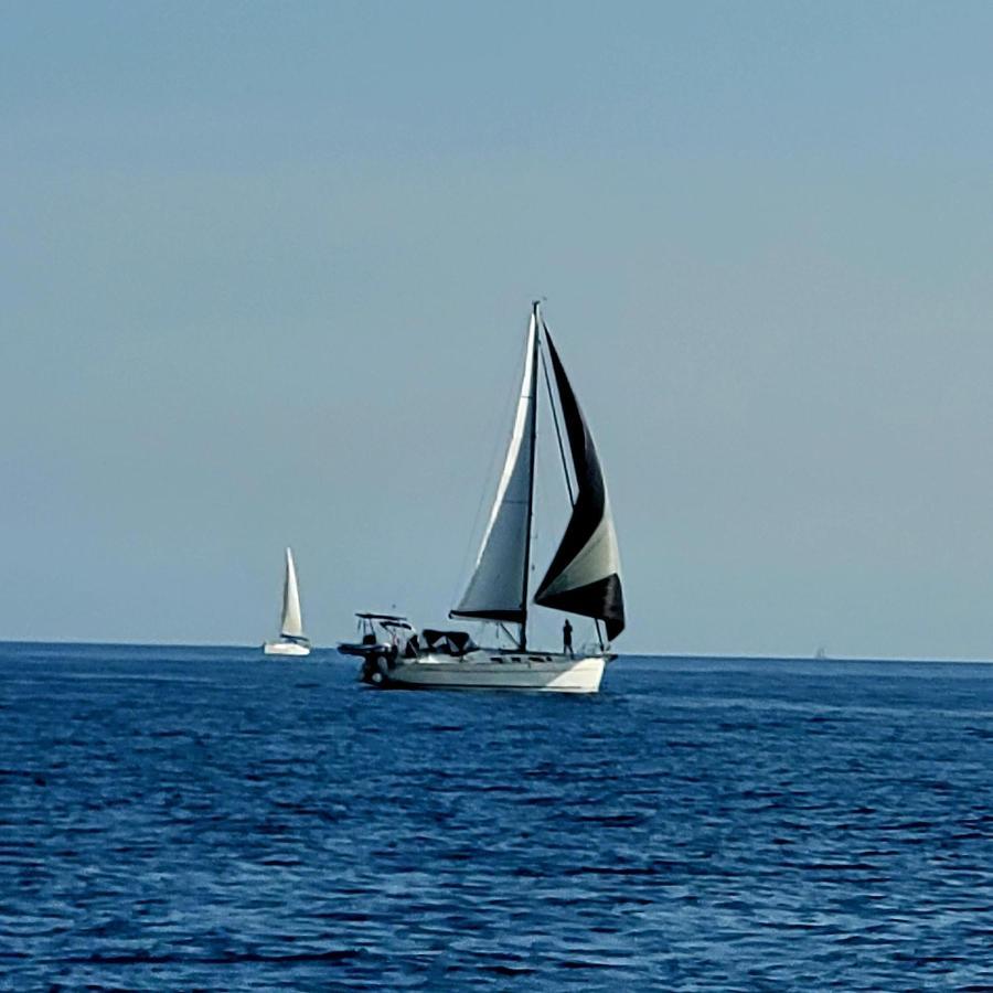 Mobile-home hyeres var climatisé dans camping avec piscine jusqu'à 6 personnes Esterno foto